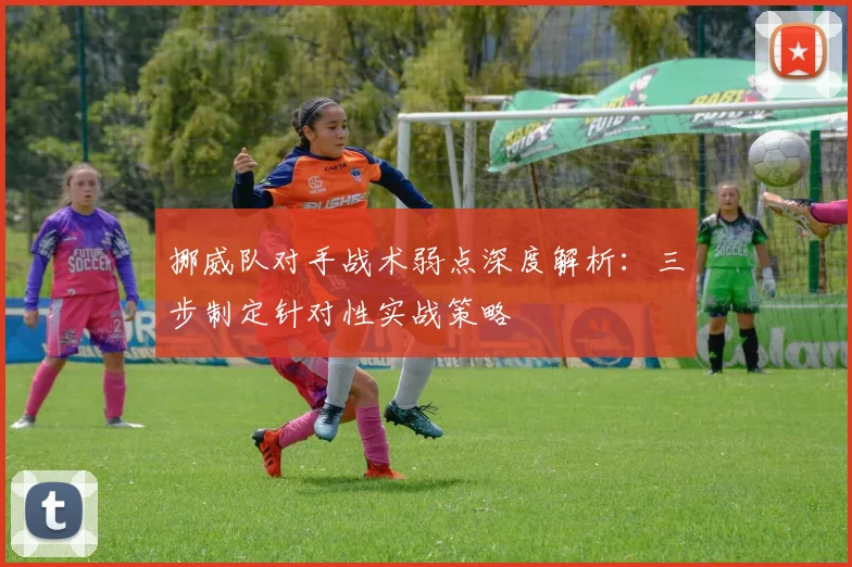 挪威队对手战术弱点深度解析：三步制定针对性实战策略