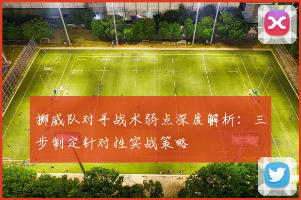 挪威队对手战术弱点深度解析：三步制定针对性实战策略